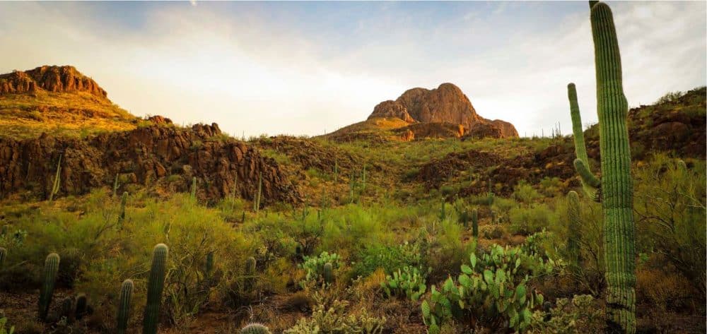 pattern-fill-ffb7c02218b8a4ed1dda7cd426c16125